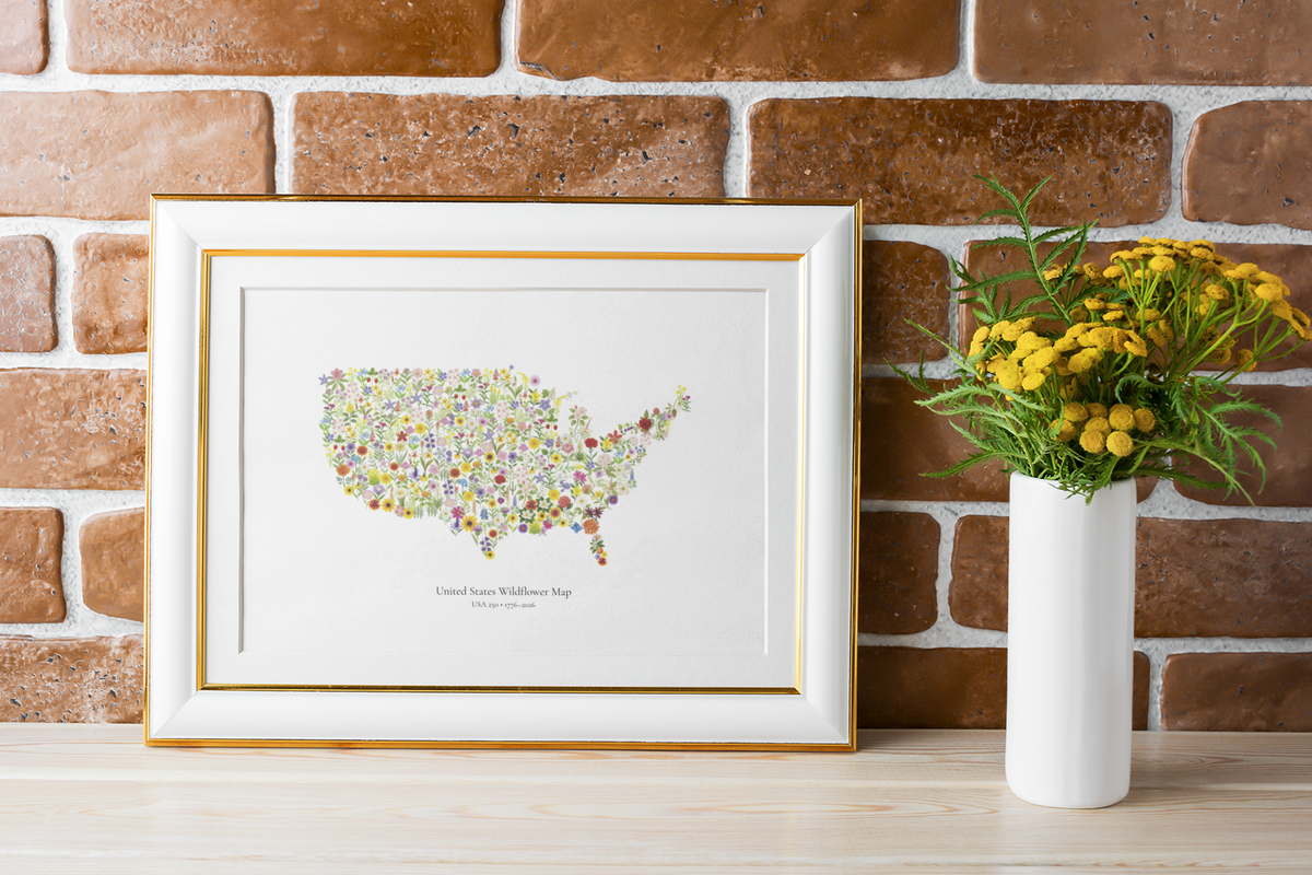 USA Wildflower Map – 250th Anniversary Edition